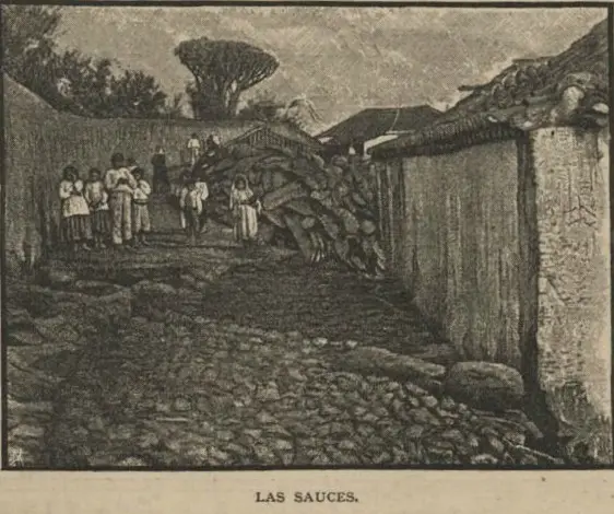 San Andrés y Sauces